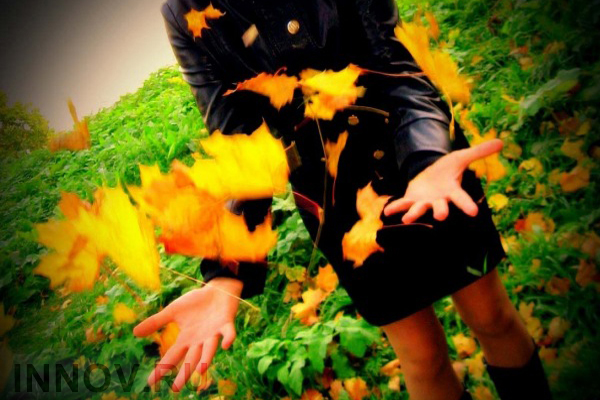 Купить куртки Купить куртки